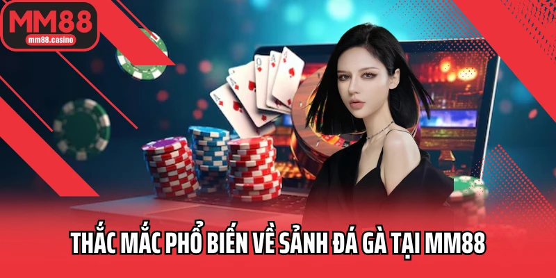 Thắc mắc phổ biến về sảnh đá gà tại MM88
