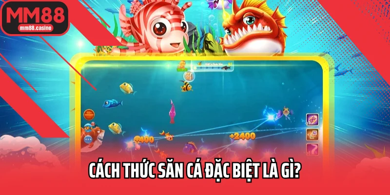 Cách thức săn cá đặc biệt là gì?