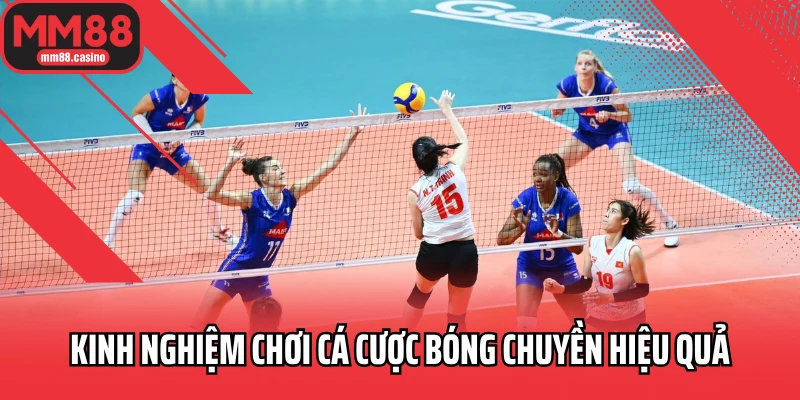 Kinh nghiệm chơi cá cược bóng chuyền hiệu quả