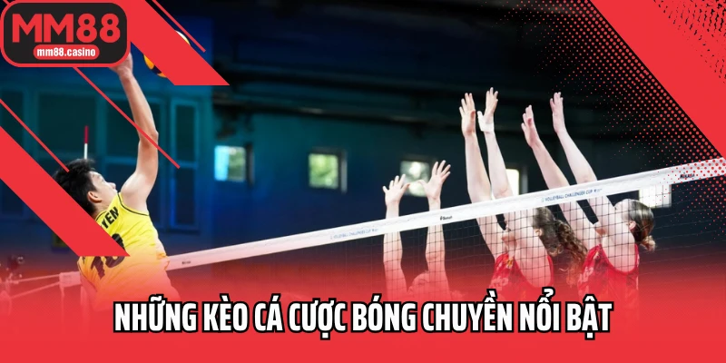 Những kèo cá cược bóng chuyền nổi bật